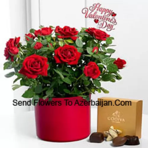 25 Red Roses With Some Ferns In A Big Vase And A Box Of Godiva Chocolates (We reserve the right to substitute the Godiva chocolates with chocolates of equal value in case of non-availability of the same. Limited Stock)